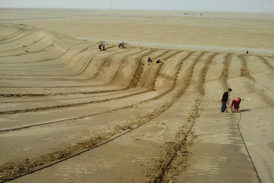 農(nóng)業(yè)節(jié)水設(shè)備-內(nèi)鑲圓柱式滴頭滴灌管-壓力補償式